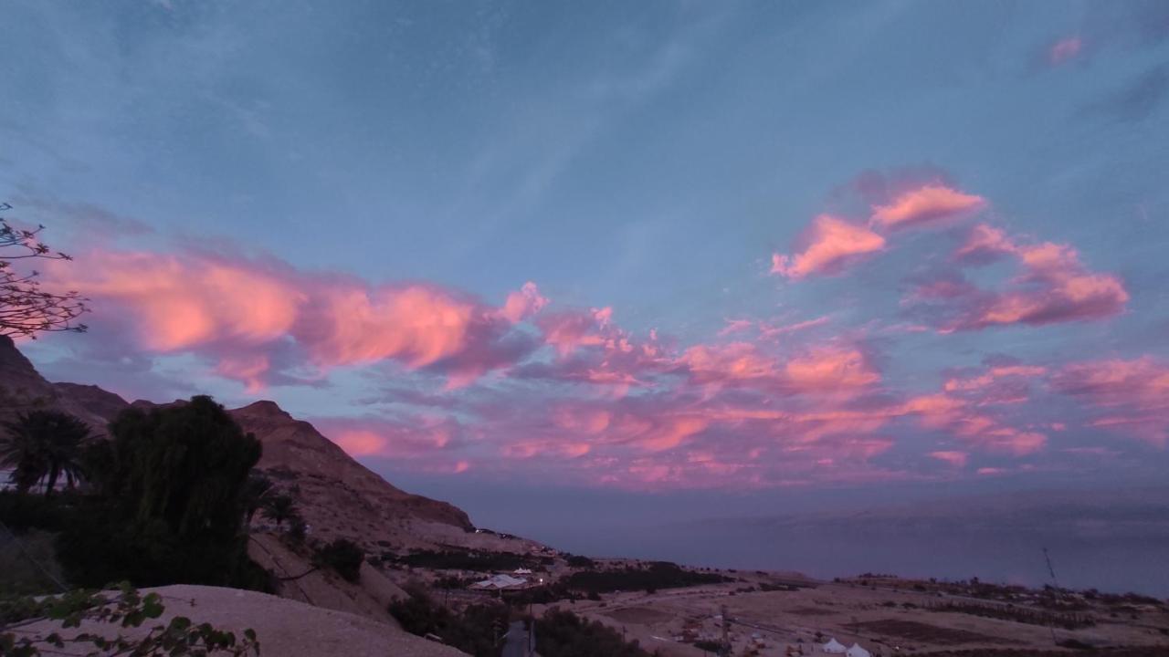 Badolina Glamping Campsite