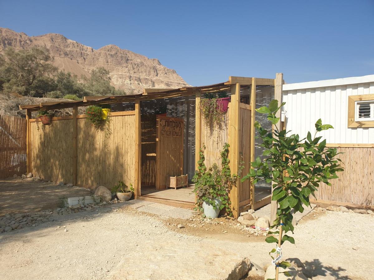 Campsite Badolina Glamping Ein Gedi